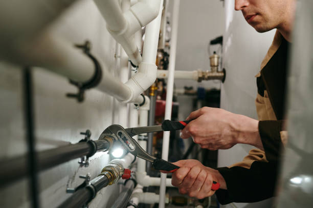 Best Plumbing Inspection Services  in Bull Shoals, AR